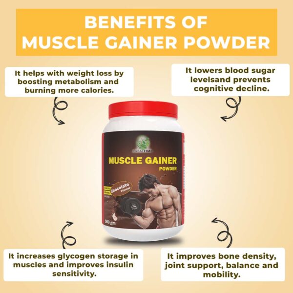 Muscle Gainer - Image 2