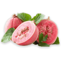 guava