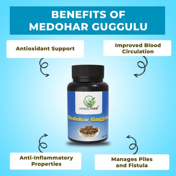 Medohar Guggulu - Image 2