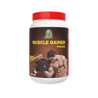 Muscle Gainer Powder